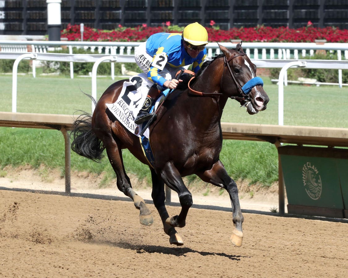 The grade 1 Bing Crosby Stakes, one of Del Mar's most prestigious Stakes races, offers an automatic spot in the Breeders' Cup Sprint and a $400,000 pu