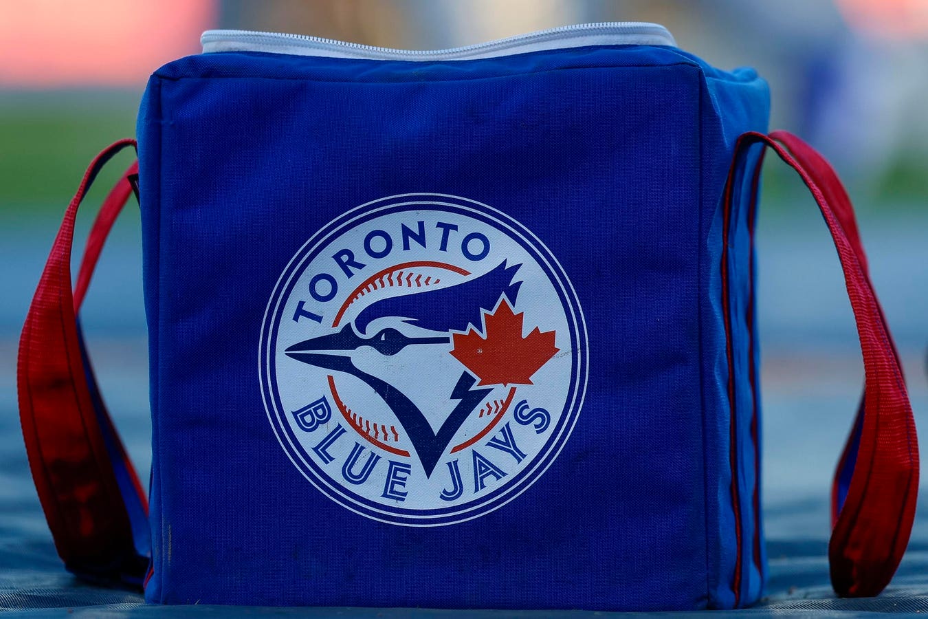 The Toronto Blue Jays have released a veteran pitcher after he gave up four earned runs in just three innings.
