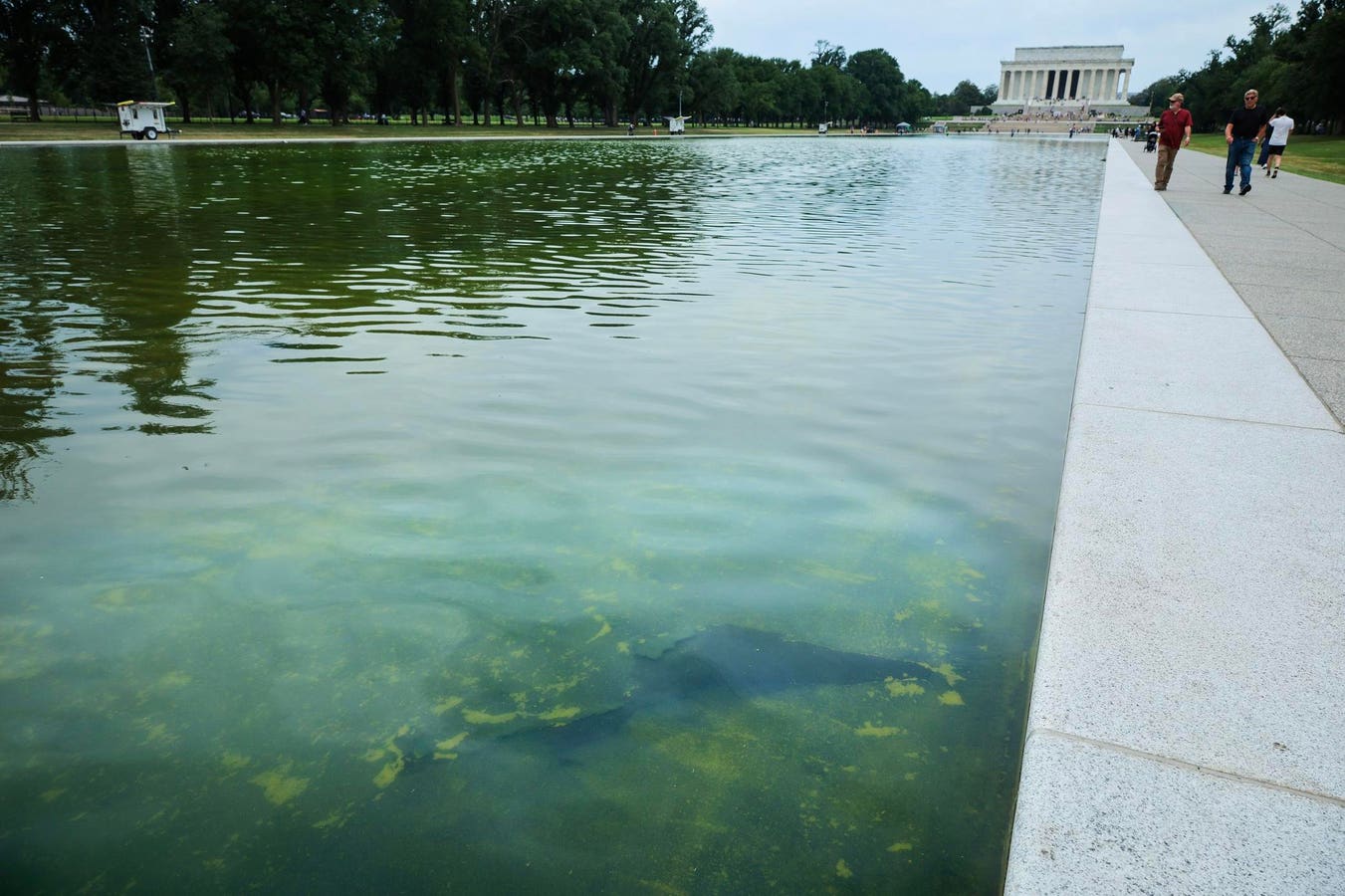 The former U.S. Olympic canoeist faces a charge for destruction of property.