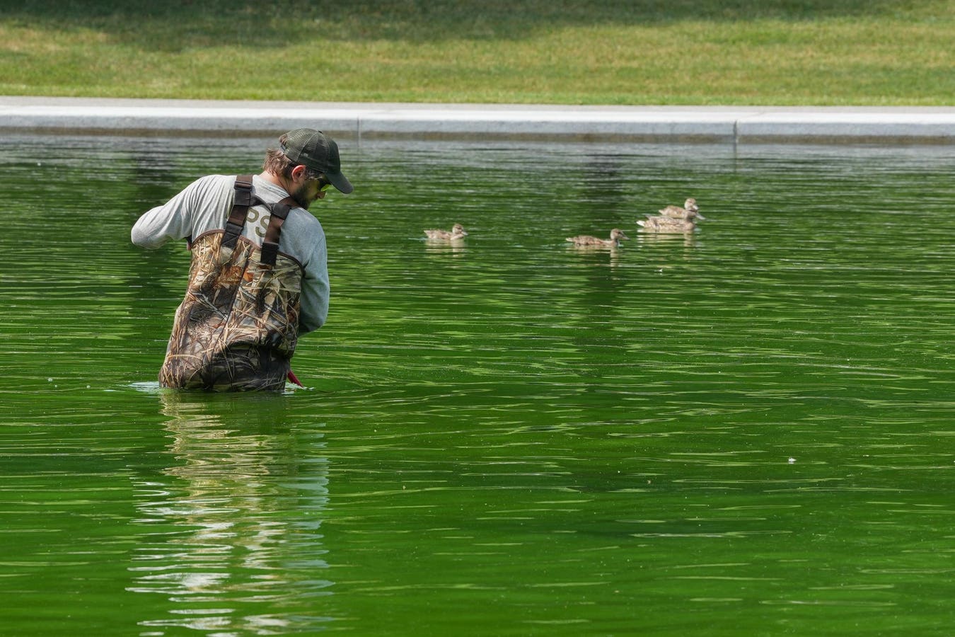 The Department of the Interior said the algae bloom turning the pool green was being “vacuumed up as we speak.”