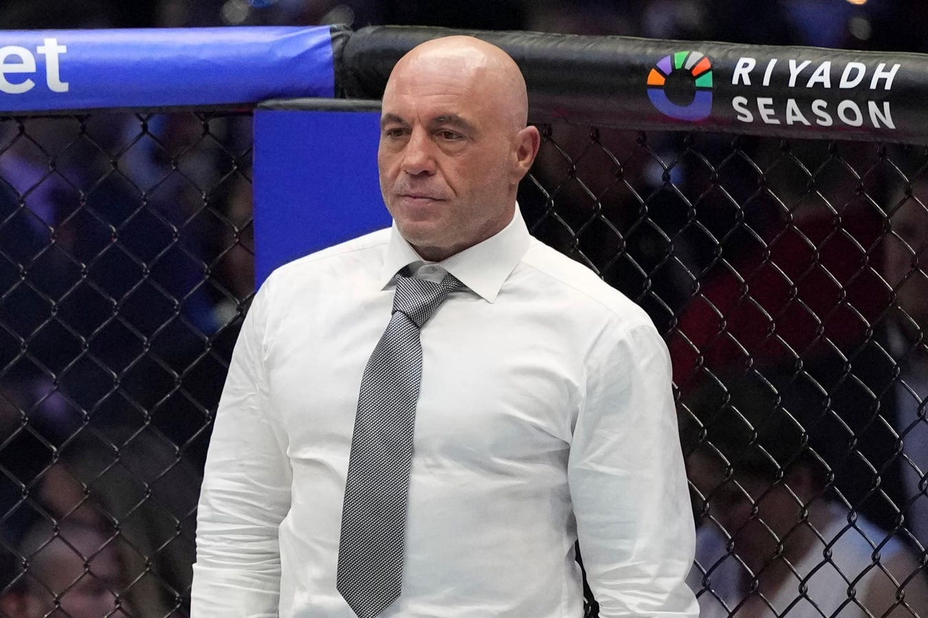 Rogan, who called the UFC fights at the White House, criticized observers on both the right and left for making it “a partisan thing.”
