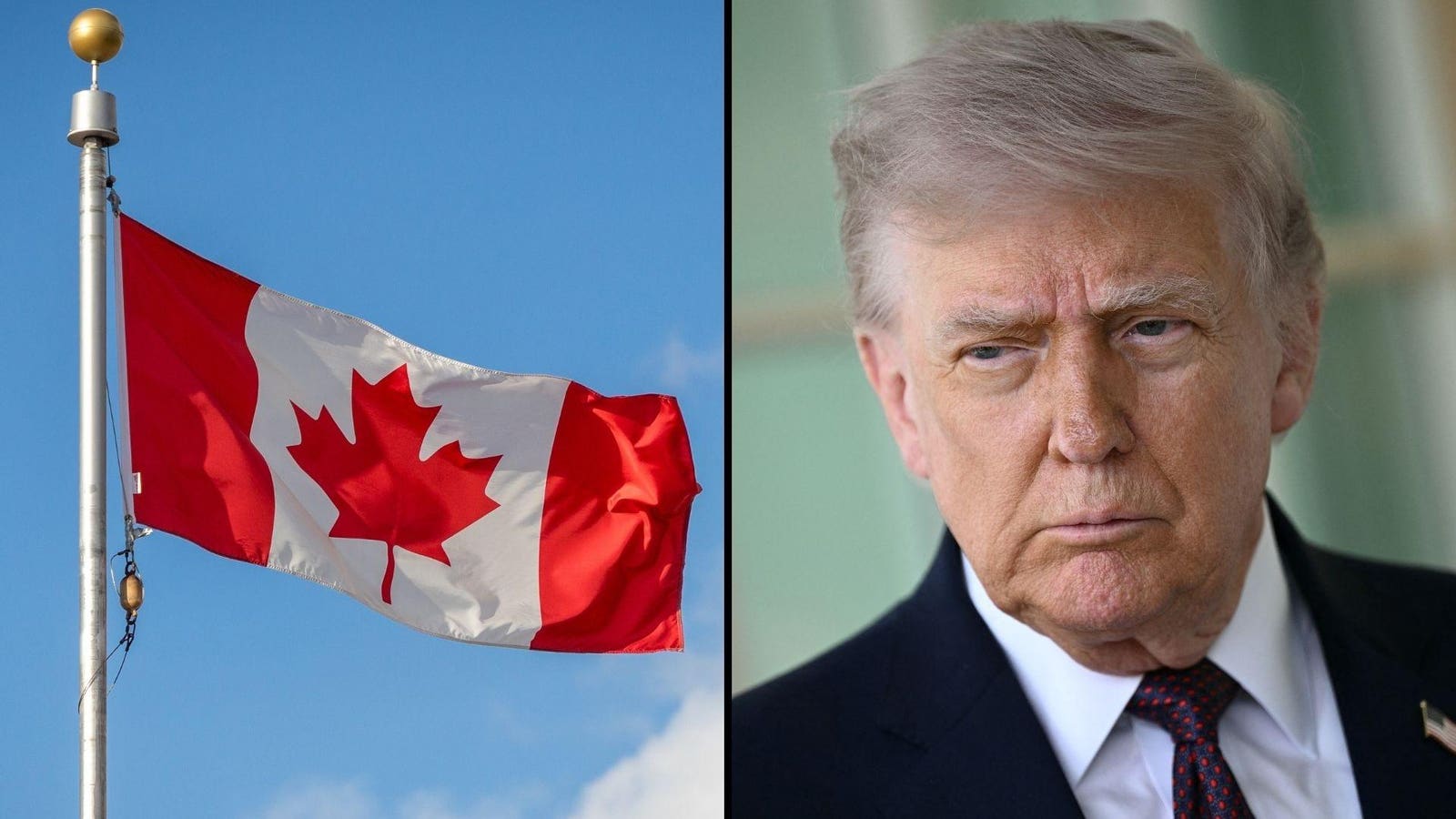 Earlier this week, President Donald Trump announced he would be slapping a large swath of Canadian goods with a 50% tariff in 30 days.