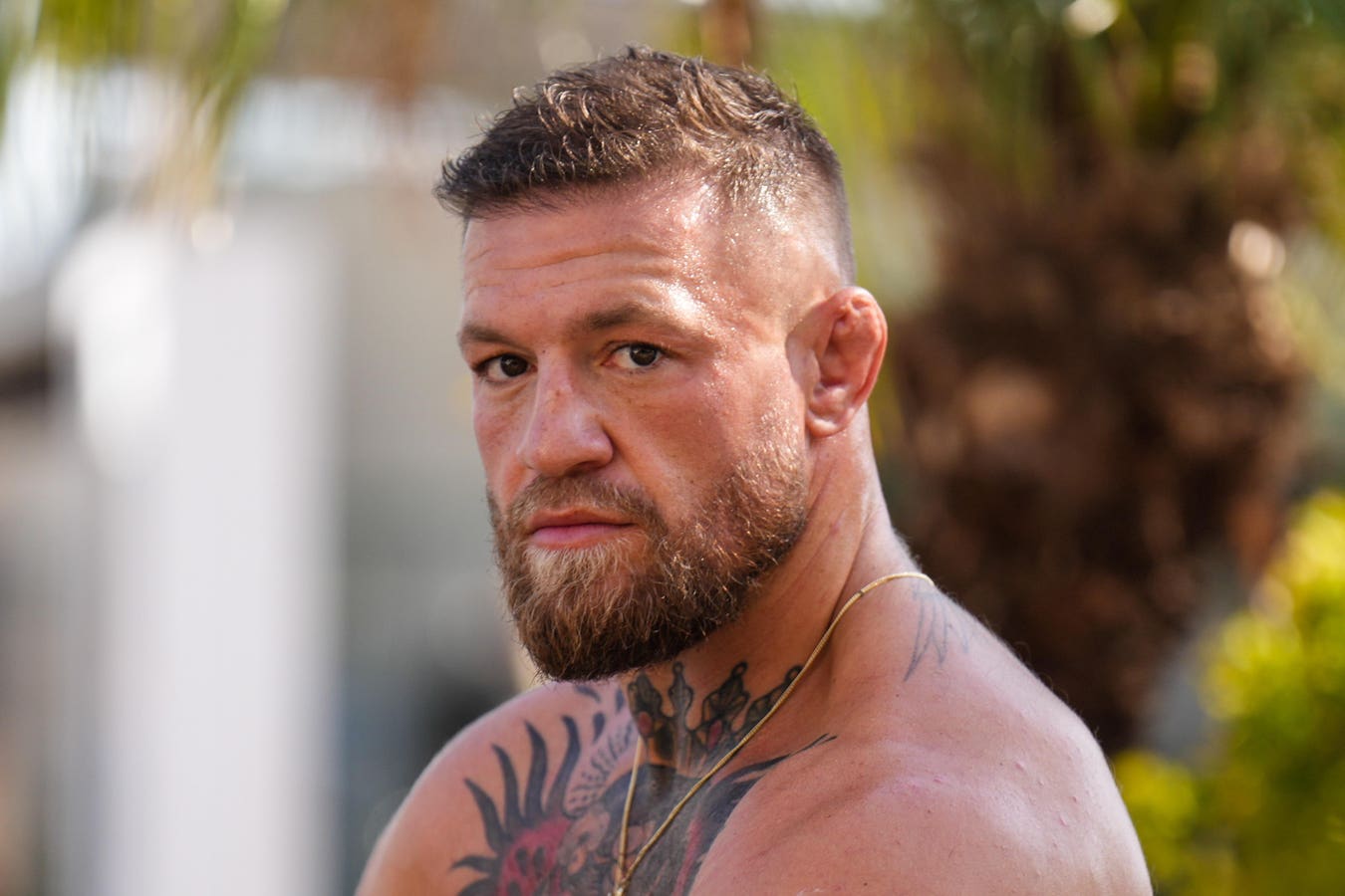Everything you need to know to prepare yourself for Saturday's UFC 329 fight card, which is headlined by Conor McGregor vs. Max Holloway 2
