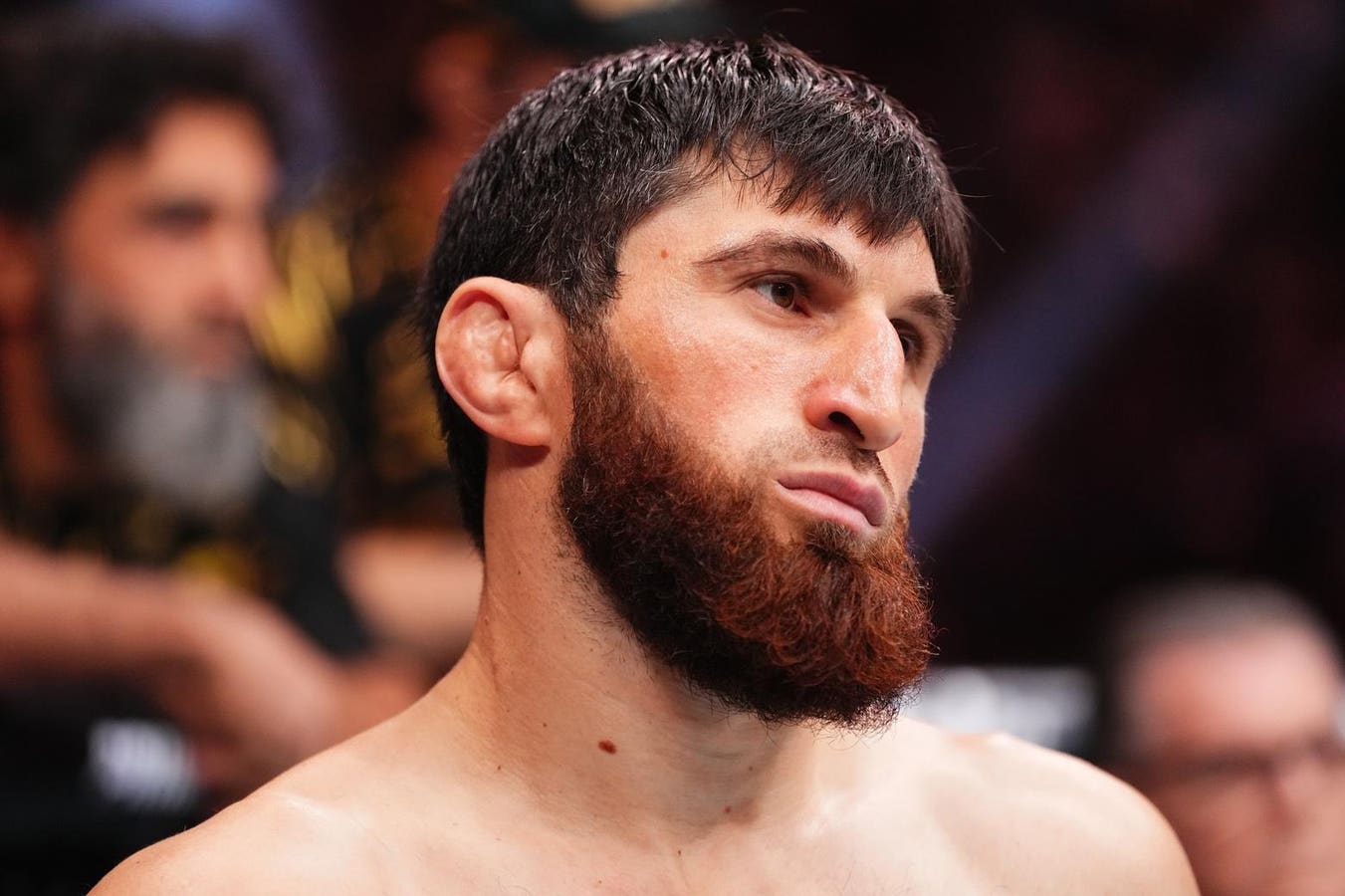 Magomed Ankalaev faces Bogdan Guskov atop UFC Abu Dhabi on July 25. Here's the full card, a Hype Score for all 13 fights and how the show rates on the